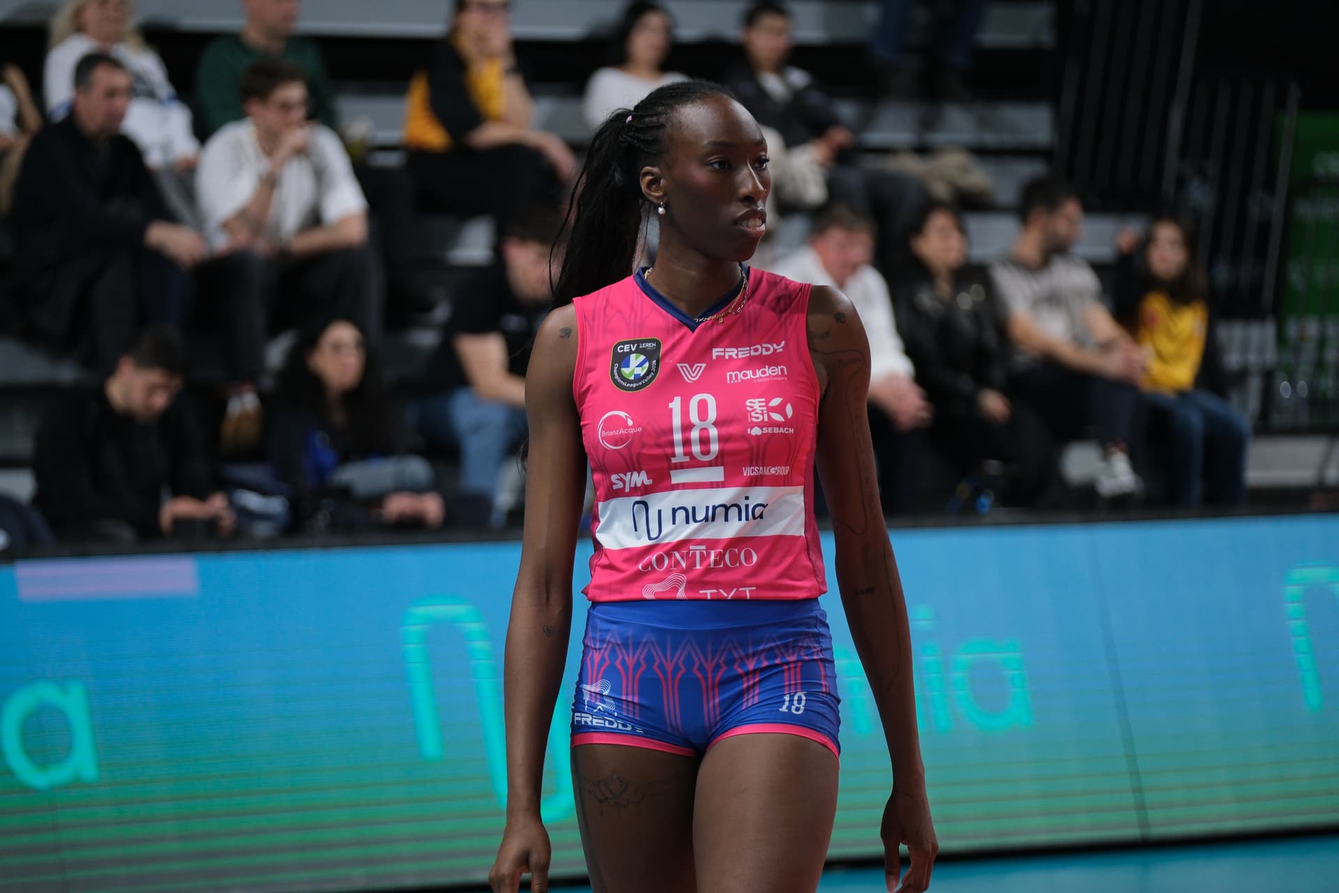 Paola Egonu, Bir Sezon Daha Vero Volley Milano'da